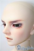 画像5: SD17BOY/ウィリアムズ:Commodore ver. U-25-04-01-218-TN-ZU (5)