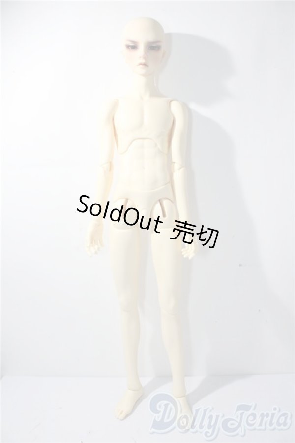 画像6: SD17BOY/ウィリアムズ:Commodore ver. U-26-01-04-215-TN-ZU (6)