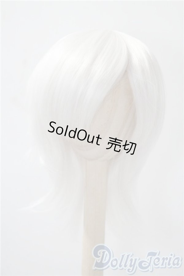 画像1: 9-10inch/ウィッグ　BJD　CROBI製 U-25-04-15-032-KD-ZU (1)