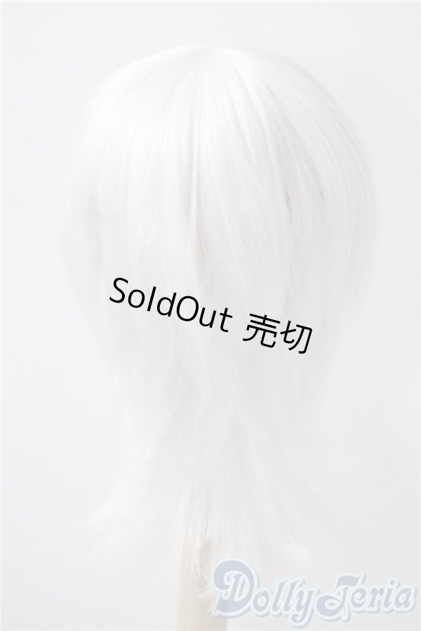 画像2: 9-10inch/ウィッグ　BJD　CROBI製 U-25-04-15-032-KD-ZU (2)
