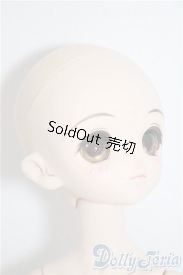 画像2: MDD/玉野まゆ オリジナル すかいてんぷる Ver. A-25-04-16-1046-TN-ZU (2)