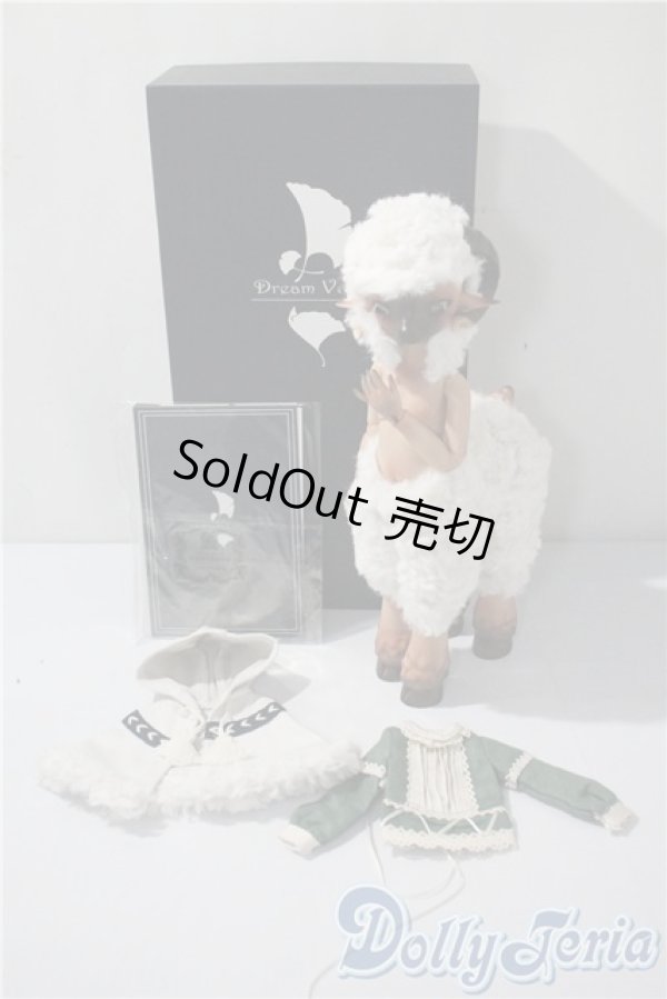 画像8: dreamvalley/panny A-25-04-16-1025-TN-ZU (8)