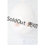 画像: TinyFox 1/6スケールドール用ヘッド型番C-15　ホワイト A-25-04-16-1073-KD-ZU