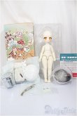 画像4: TinyFox/付き人のアザラシ ノーミ/BJD　球体関節人形 A-25-04-16-300-TN-ZA (4)
