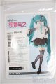 画像: DD/OF：初音ミクNT衣装＆ウィッグセット/0 A-25-04-16-282-TN-ZA