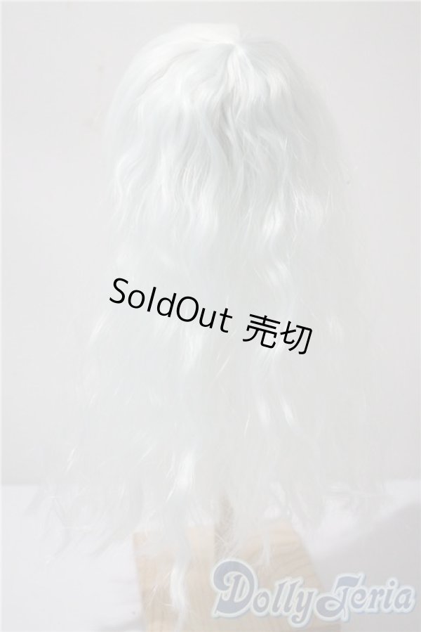 画像2: 10-11inch/ウィッグ A-25-04-23-1052-TN-ZU (2)