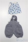 画像1: imda1.7/衣装/0 A-25-04-16-295-TN-ZA (1)