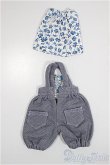 画像2: imda1.7/衣装/0 A-25-04-16-295-TN-ZA (2)