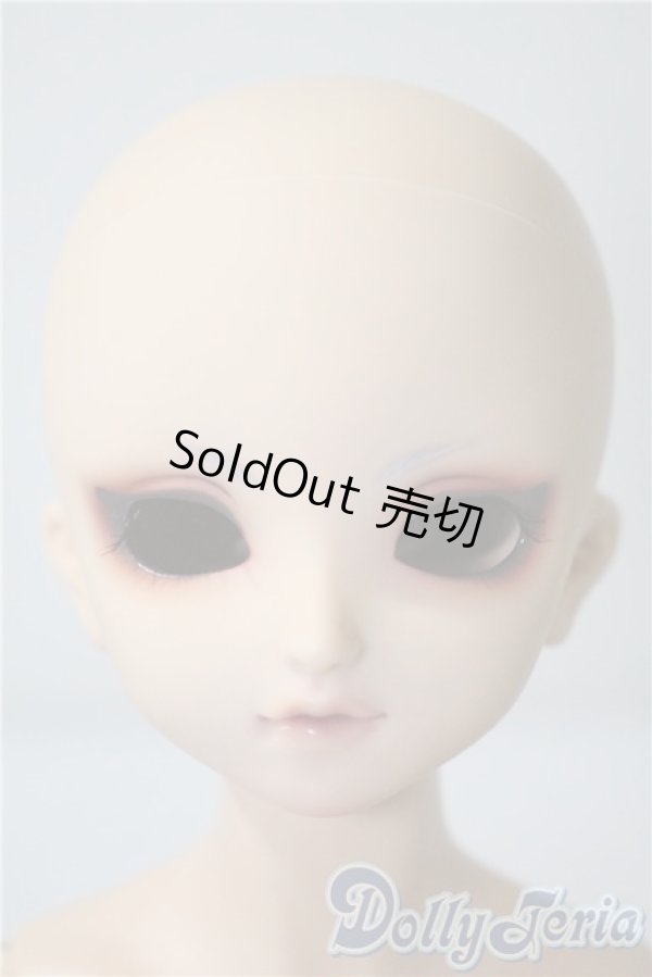 画像1: SDM/F-40　フルチョイス U-25-04-29-218-TN-ZU (1)