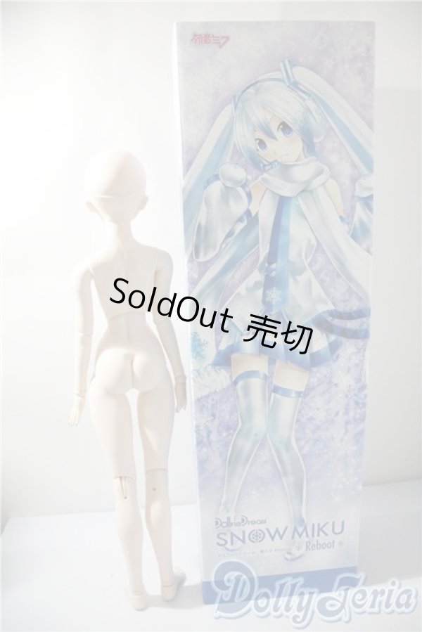 画像6: DD/雪ミク Reboot I-25-04-30-1096-KD-ZI (6)