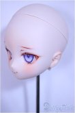 画像3: DD/DDH-29/カスタムメイク/BJD　球体関節人形 A-25-04-23-191-TN-ZA (3)