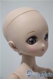 画像2: MDD/Ｄ'COORD：DDH-18 A-25-04-30-1093-TN-ZU (2)