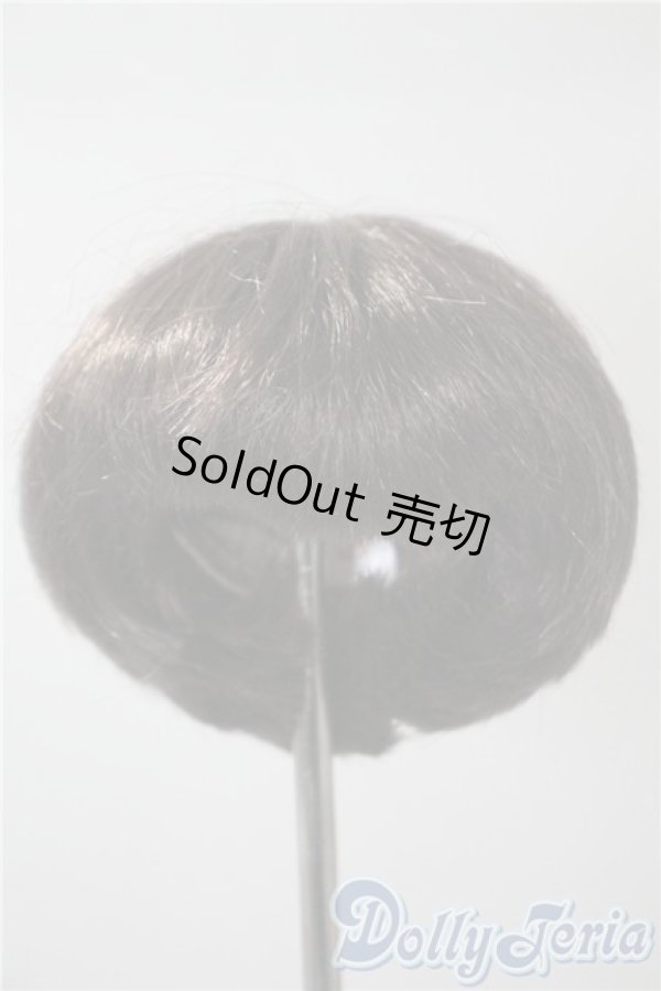 画像1: 5-6inch/ウィッグ　monique A-25-04-30-1024-KD-ZU (1)