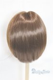 画像2: 9-10inch/ウィッグ U-25-04-22-234-TN-ZU (2)