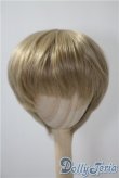 画像1: 9-10inch/ウィッグ　for my doll U-25-05-06-042-KD-ZU (1)