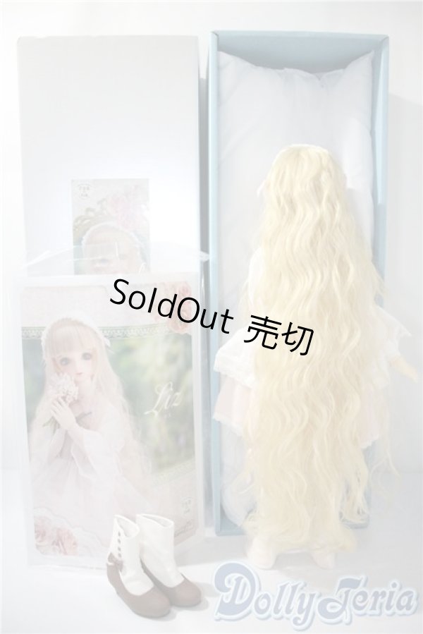 画像7: SDMGIRL/リズ A-25-05-06-217-KD-ZA (7)