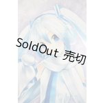 画像: DD/雪ミク Reboot A-25-05-07-1096-TN-ZU