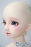 画像3: DearSD/フルチョイスF-59　オーダーメイク　ヘッド U-25-05-13-216-KD-ZU (3)