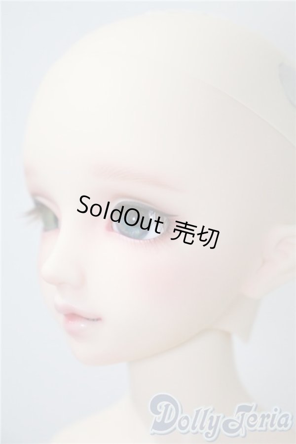 画像3: DearSD/フルチョイスF-59　オーダーメイク　ヘッド U-25-05-13-216-KD-ZU (3)