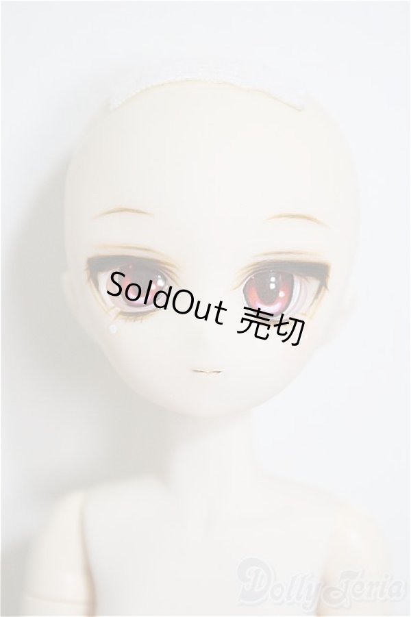 画像2: paraboxカスタムヘッド/ボディ/ A-25-12-03-220-TN-ZA (2)