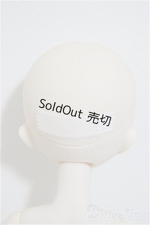 画像4: paraboxカスタムヘッド/ボディ/ A-25-12-03-220-TN-ZA (4)