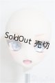 画像: DDH-10/YUE様カスタムヘッド/BJD　球体関節人形 A-25-12-03-222-TN-ZA