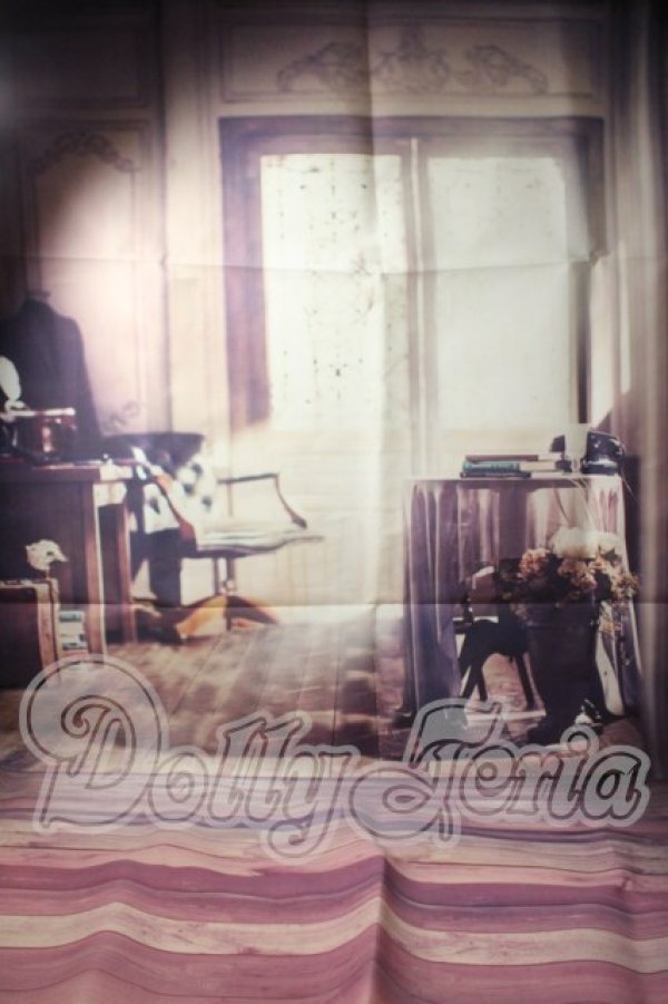 画像1: SD/背景布 U-26-04-15-211-TN-ZU (1)