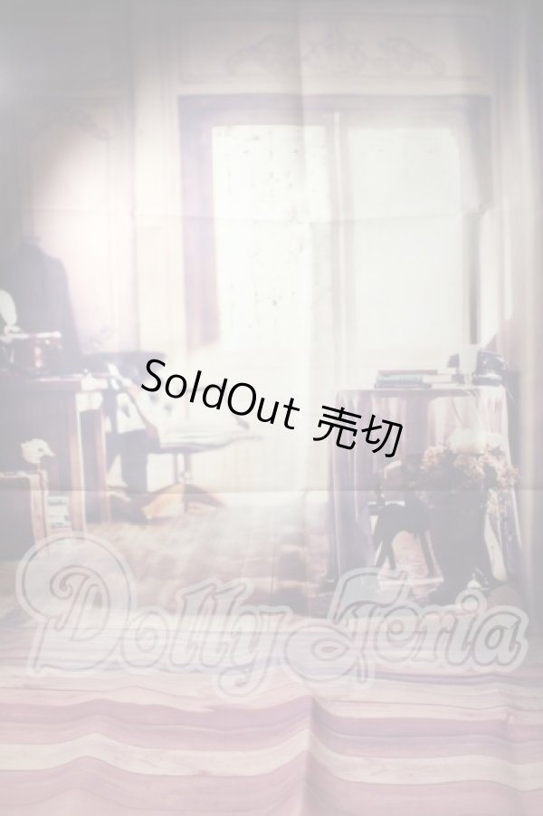 画像1: SD/背景布 U-26-04-15-211-TN-ZU (1)