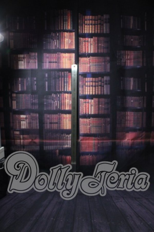 画像6: SD/背景布 U-26-04-15-211-TN-ZU (6)