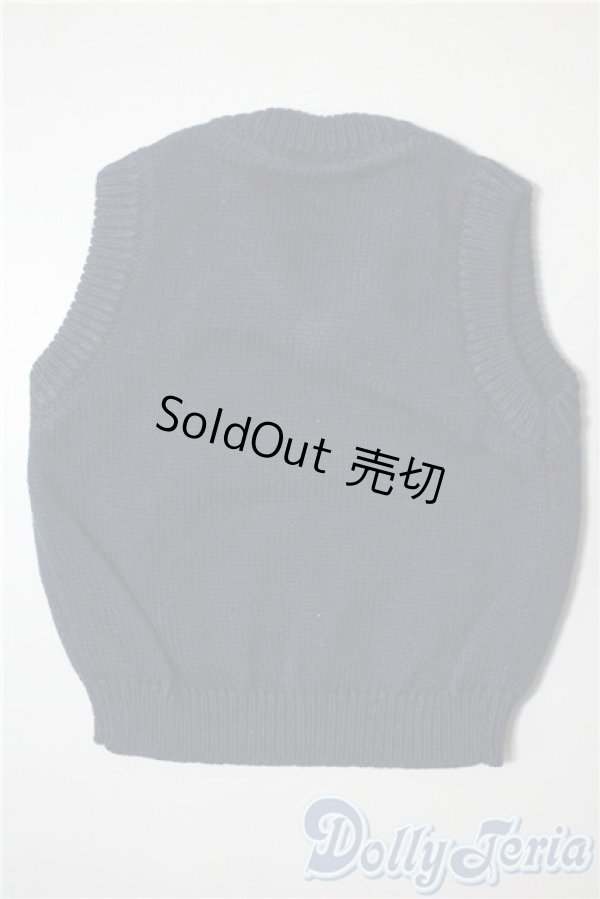 画像2: SDM＆MSD/OF:トップス　ベスト U-25-05-20-028-KD-ZU (2)