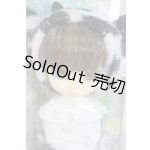 画像: リトルプーリップ/ケフィ Y-25-05-21-014-TN-ZY