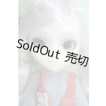 画像: Little Pullip+/Donkey（ロバ） I-25-06-01-1028-TN-ZI
