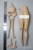 画像2: DDカスタムボディ/DDdy版やわ尻+ぴーちパイぷらす　ボディ一式　ラジカル様 A-25-05-28-1041-KD-ZU (2)