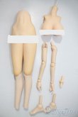 画像1: DDカスタムボディ/DDdy版やわ尻+ぴーちパイぷらす　ボディ一式　ラジカル様 A-25-05-14-1080-KD-ZU (1)