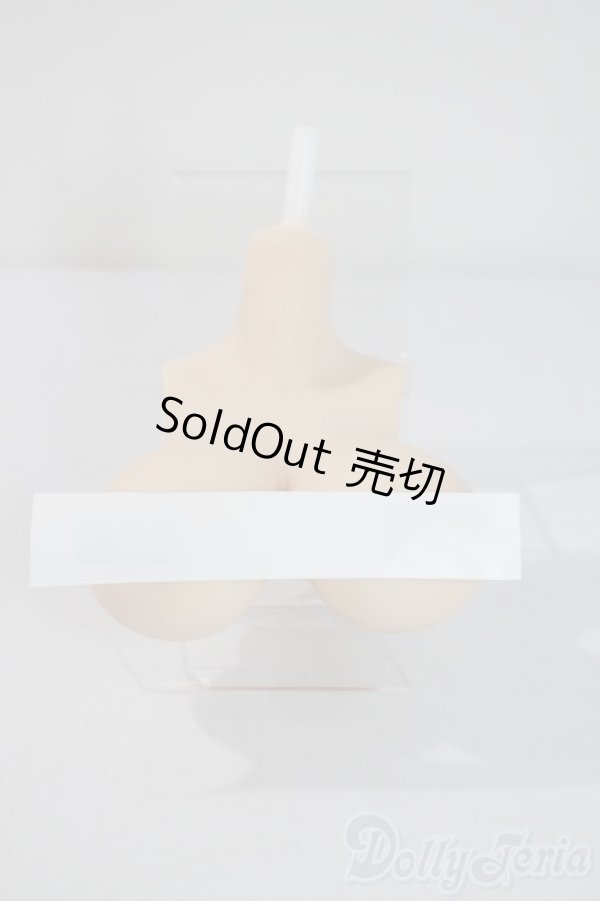 画像1: DD/シリコン胸パーツ　マンモ様製　 A-25-06-04-1003-KD-ZU (1)