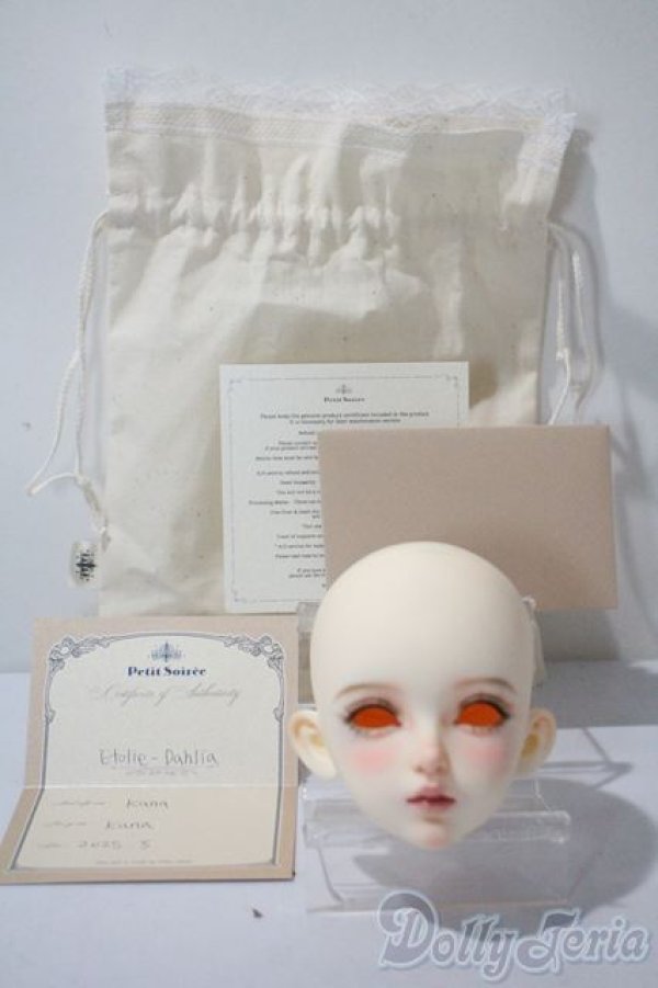 画像4: Petit Soiree/Etolie : Dahlia Head - Normal (Make up by Kana) A-25-05-28-1044-KD-ZU (4)