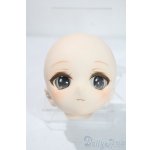 画像: DD/DDH-01:カスタムヘッド A-25-06-11-1028-TN-ZU