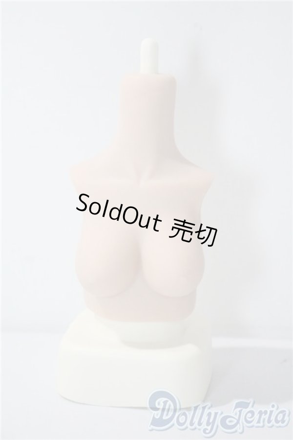 画像1: MDD/ラジカル様 DD-f3版MDDM胸+ A-25-05-28-1100-TN-ZU (1)