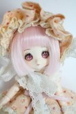 画像1: DOLLCE/ミニスウィーツドール:シナモン A-25-06-04-1006-TN-ZA (1)