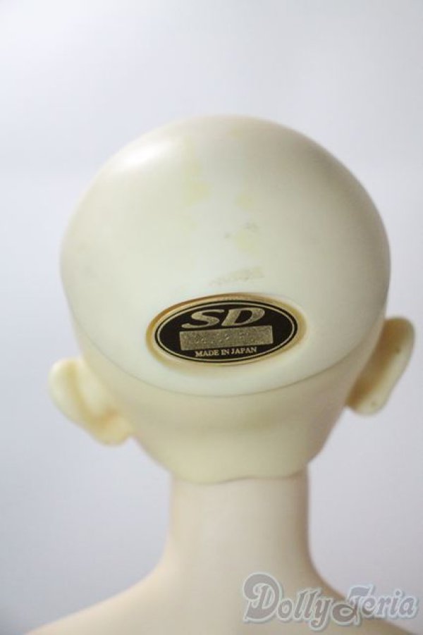 画像5: SDGrB/フルチョイスF-17 U-25-05-27-213-TN-ZU (5)