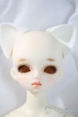 画像1: SDM女の子/フルチョイスF-18 U-25-06-05-213-TN-ZU (1)