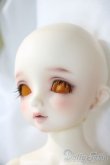 画像3: SDM女の子/コーディネートモデルF-50 U-25-06-05-212-TN-ZU (3)