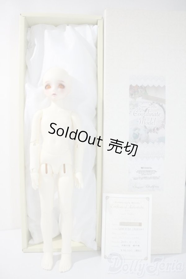 画像4: SDM女の子/コーディネートモデルF-50 U-25-06-05-212-TN-ZU (4)