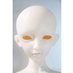 画像: AS　DOLL/1/4AMY A-25-05-28-1048-TN-ZU