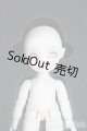 画像: brownie/NENE A-25-06-04-1093-TN-ZU