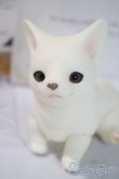 画像1: dearｍine/golgi basic A-25-06-04-1091-TN-ZU (1)