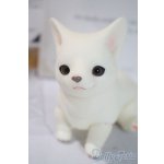 画像: dearｍine/golgi basic A-25-06-04-1091-TN-ZU