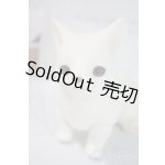 画像: dearmine/golgi basic A-25-06-04-1091-TN-ZU