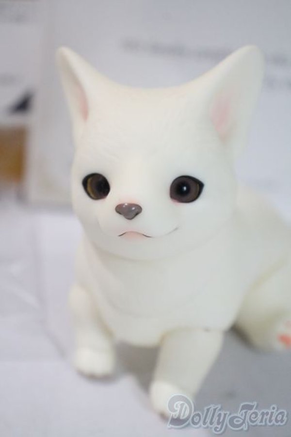 画像1: dearｍine/golgi basic A-25-06-04-1091-TN-ZU (1)