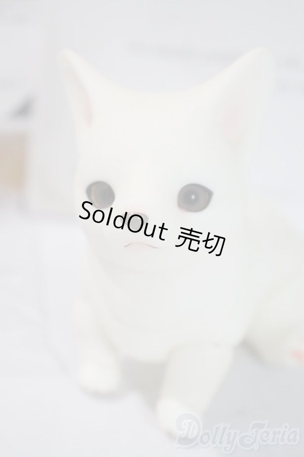 画像1: dearｍine/golgi basic A-25-06-04-1091-TN-ZU (1)